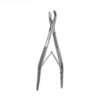 Micheltang-dubbel-12 cm-2