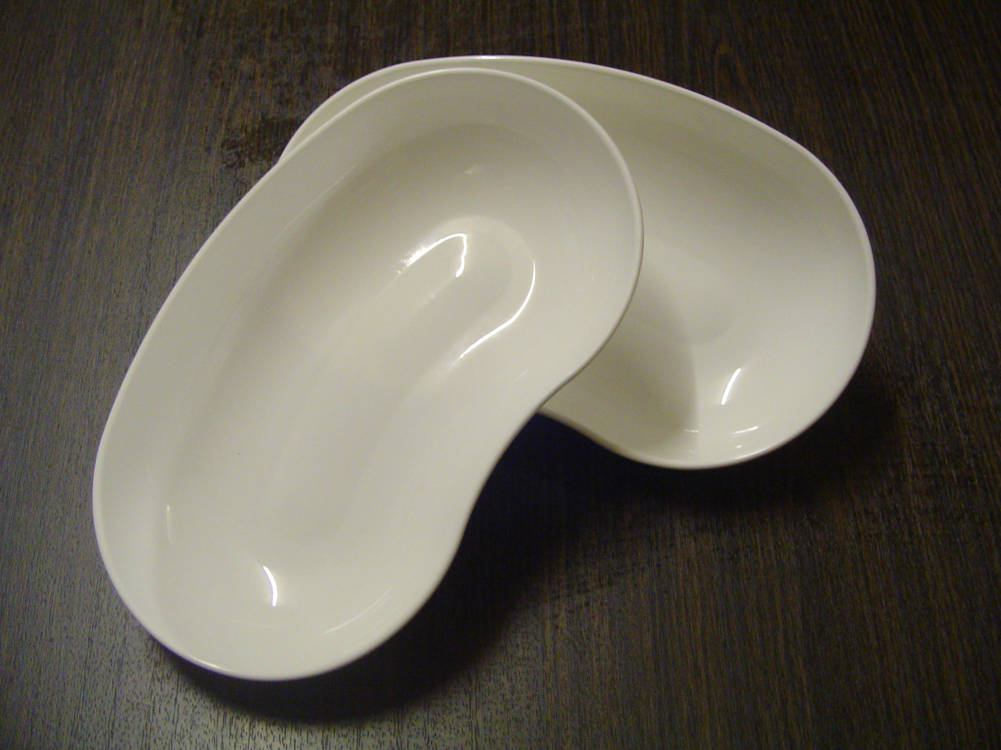 Nierbekkensplastic002