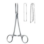 SlangklemPresbyterian