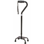 Wandelstokvierpikkel